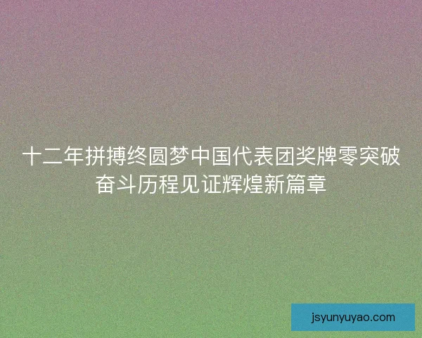 十二年拼搏终圆梦中国代表团奖牌零突破奋斗历程见证辉煌新篇章